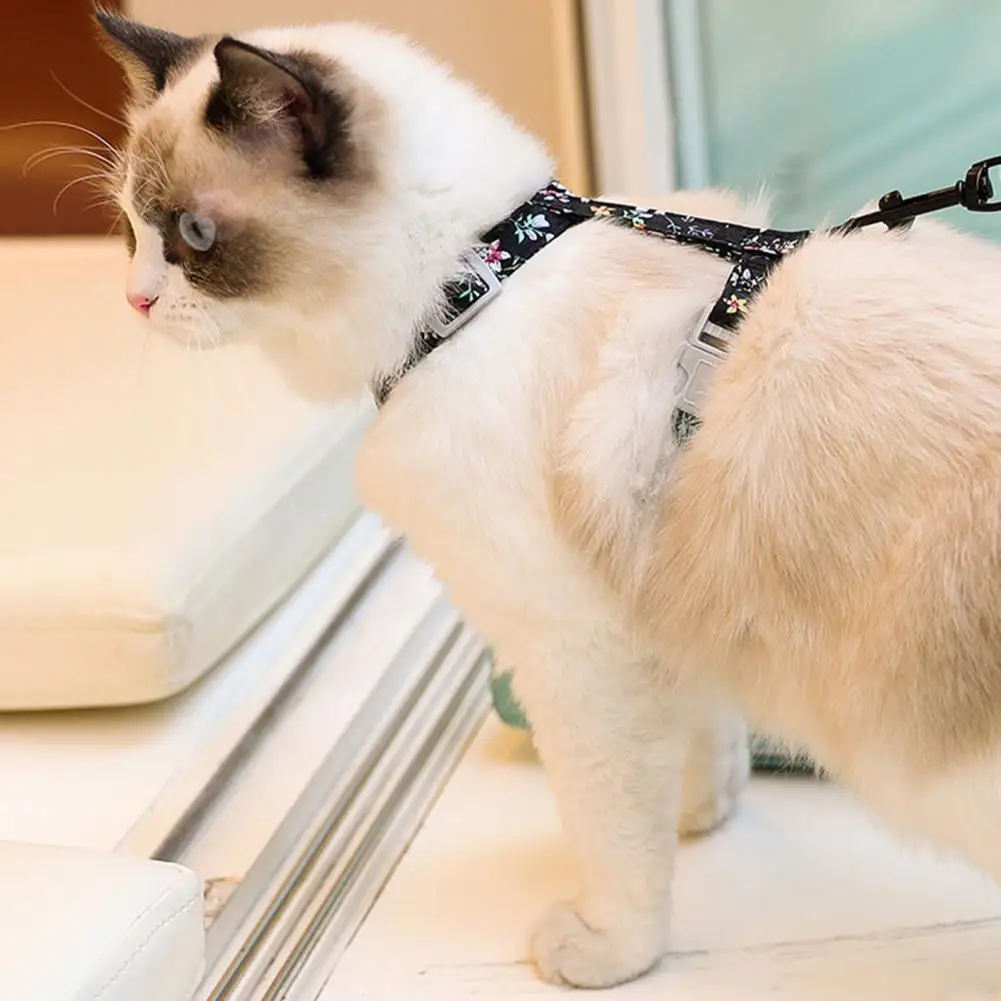 1 Set Excellent Firm Stitching Cat Leash Chest Harness Long Strap Pet Traction Rope Back Strap Buckle Pet Dog Cat Accessories