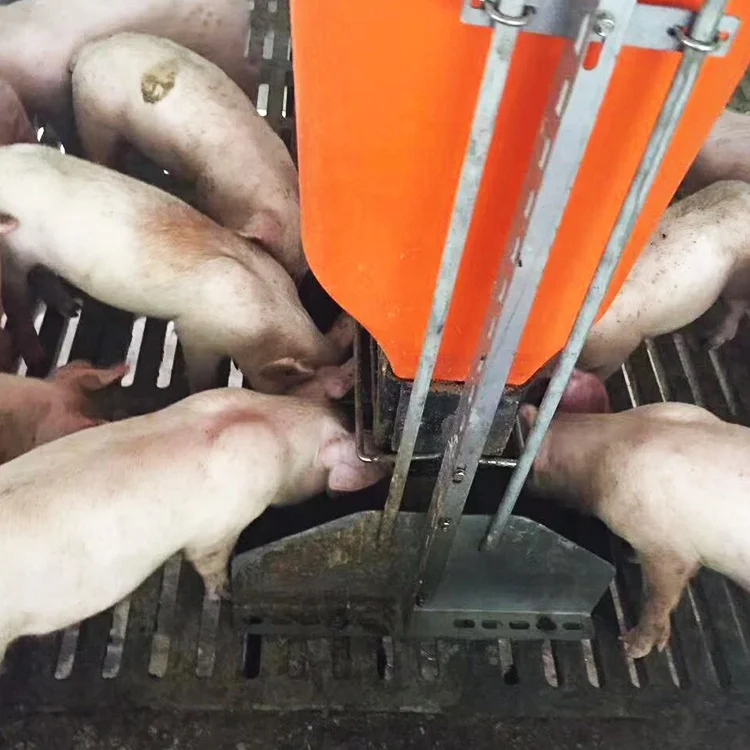 

Pig Feed Saving Equipment Pig Feed Concentrates Feeding Trough for Pigs