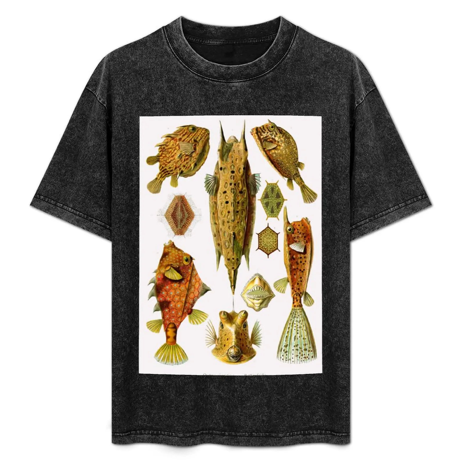 

Plate 42. Ostraciontes, the old name for boxfish, or cowfish. T-Shirt anime stuff man clothes blue archive mens t shirt