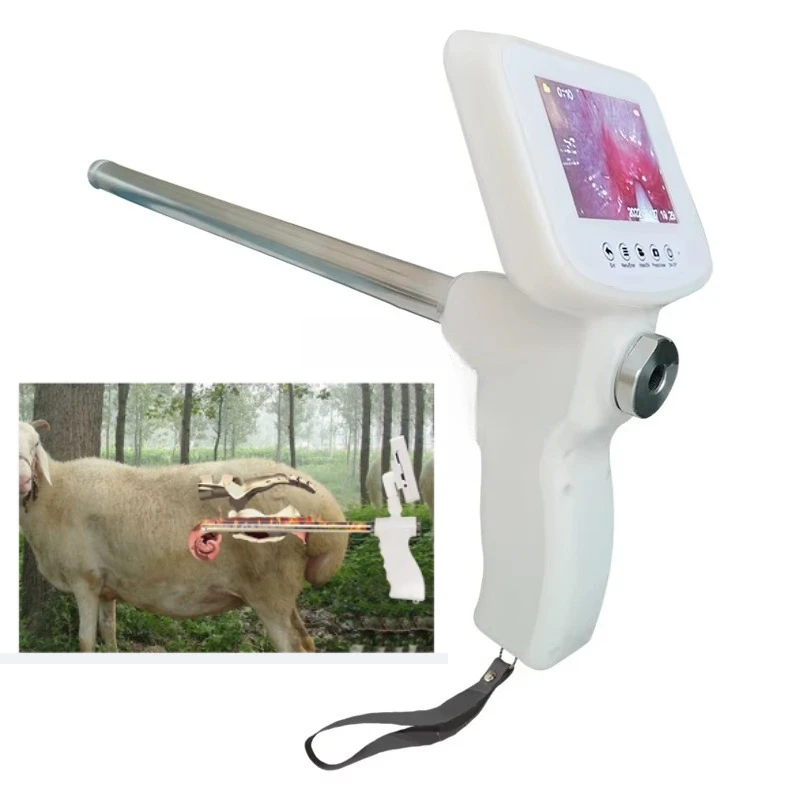 Visual AI Gun for Sheep Dog Goat Professional Animal Insemination Equipment 640x480 Resolution 256G Storage for Farm Breeding