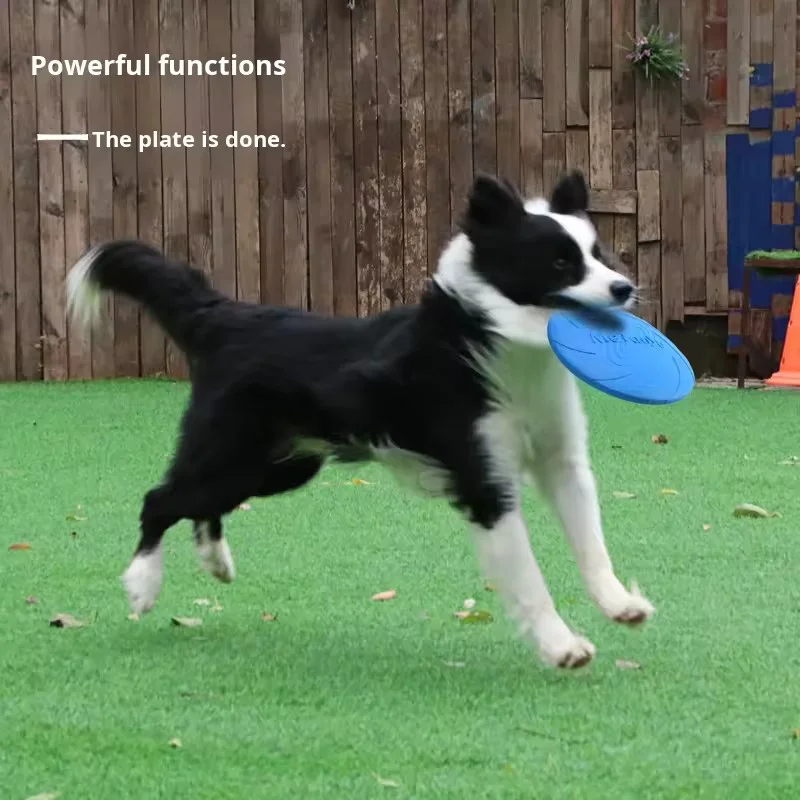 Thumbnail 2 - #27 Trending Dog Fetch Toys Right Now