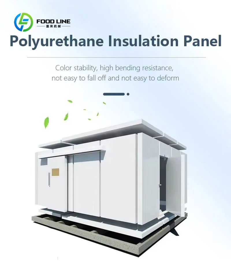 Chambre de stockage au froid de petite taille personnalisée Chambre froide réfrigérée pour la viande et les fruits de mer