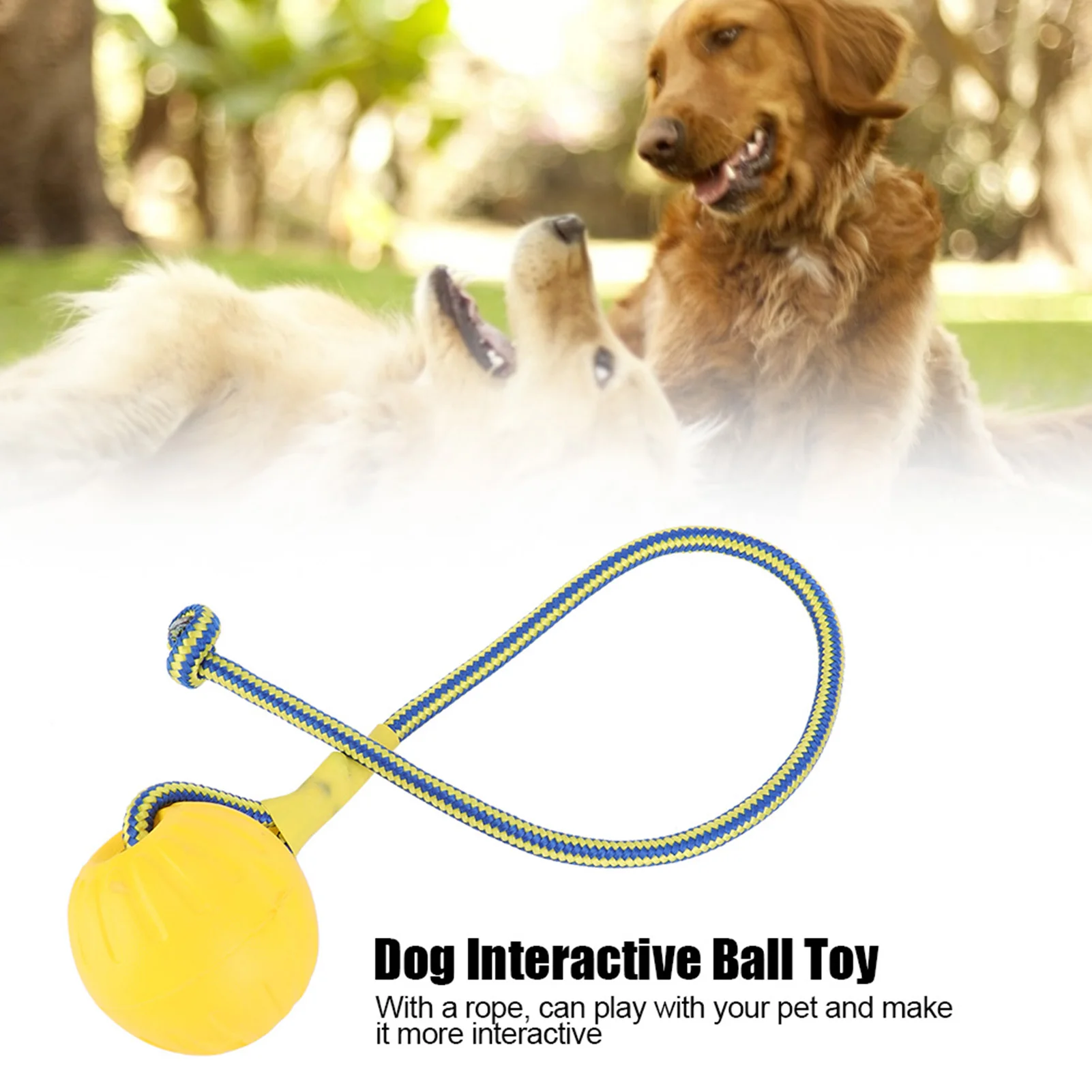 Portable EVA Pet Dog Training Bite Resistant Interactive Chew Toys, Ball with Rope