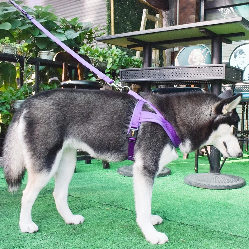 

Nylon Dog Harness Vest Reflective Pet Harness Personalized Breathable Adjustable Pet Harness Leash for Small Medium Large Dogs