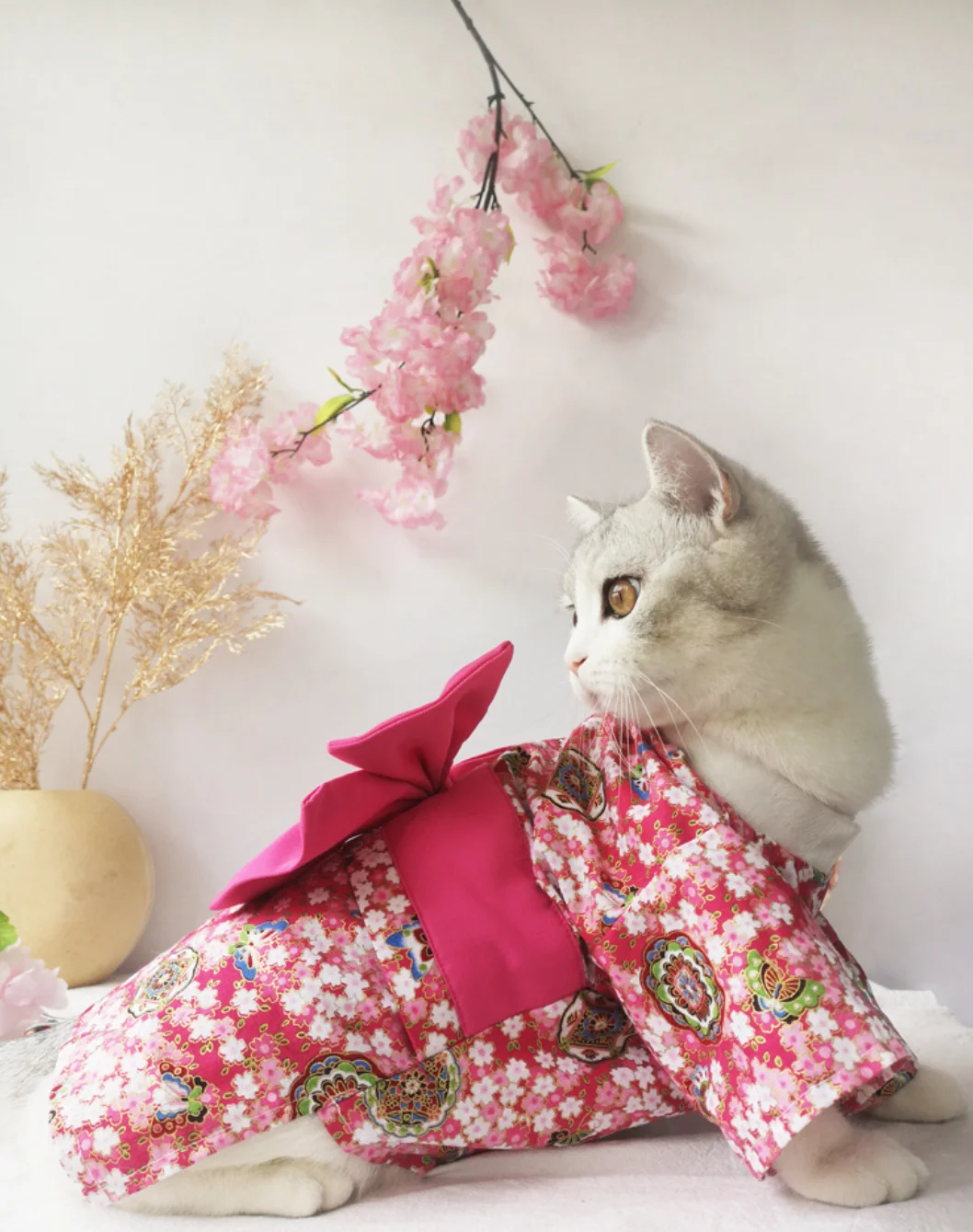 Japanese Style Thin Cat Dog Coat Kimono Summer Pet Clothes for Cats Dogs Cute Print with Bow-knot Kitten Sphynx Clothing Outfit