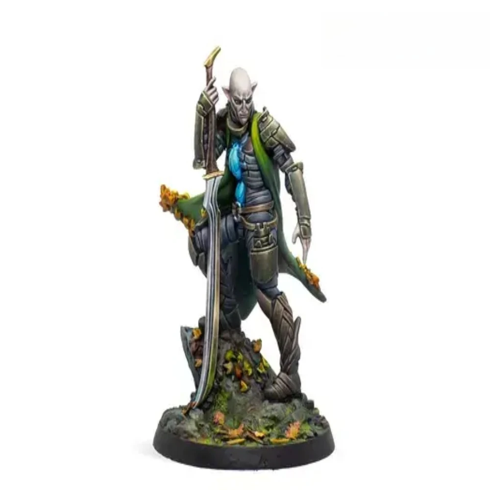 High Quality Elf Assassin, Cast Resin Model Assembly Kit, GK， Resin Model Kit, Unpainted