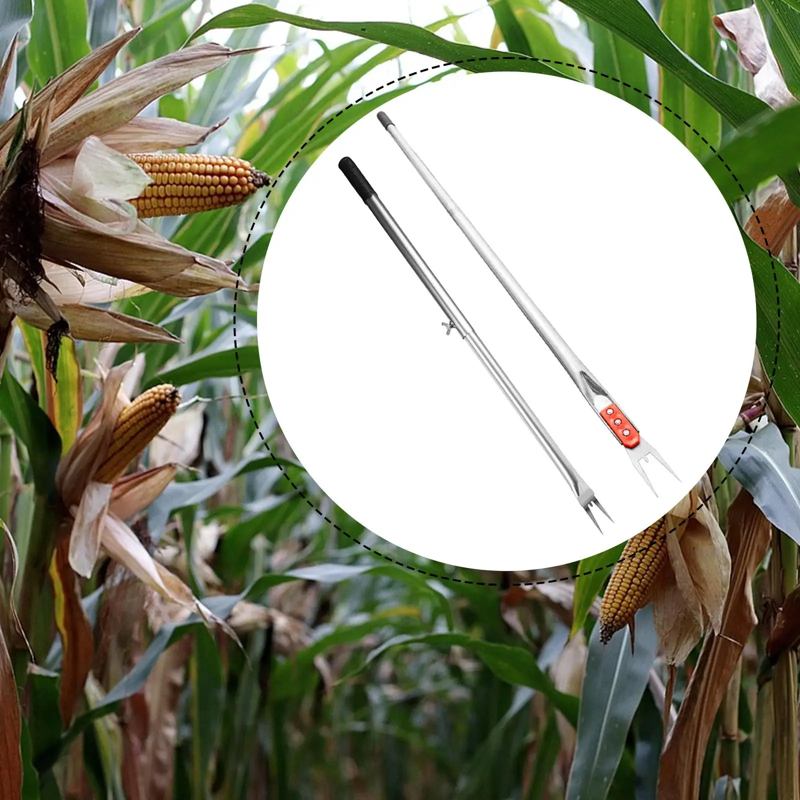 

Weeding Sickle Grass Sickle Heavy Duty Weed Remover Steel Garden Tool Weeding Tool for Weeding Garden Crabgras Lawn