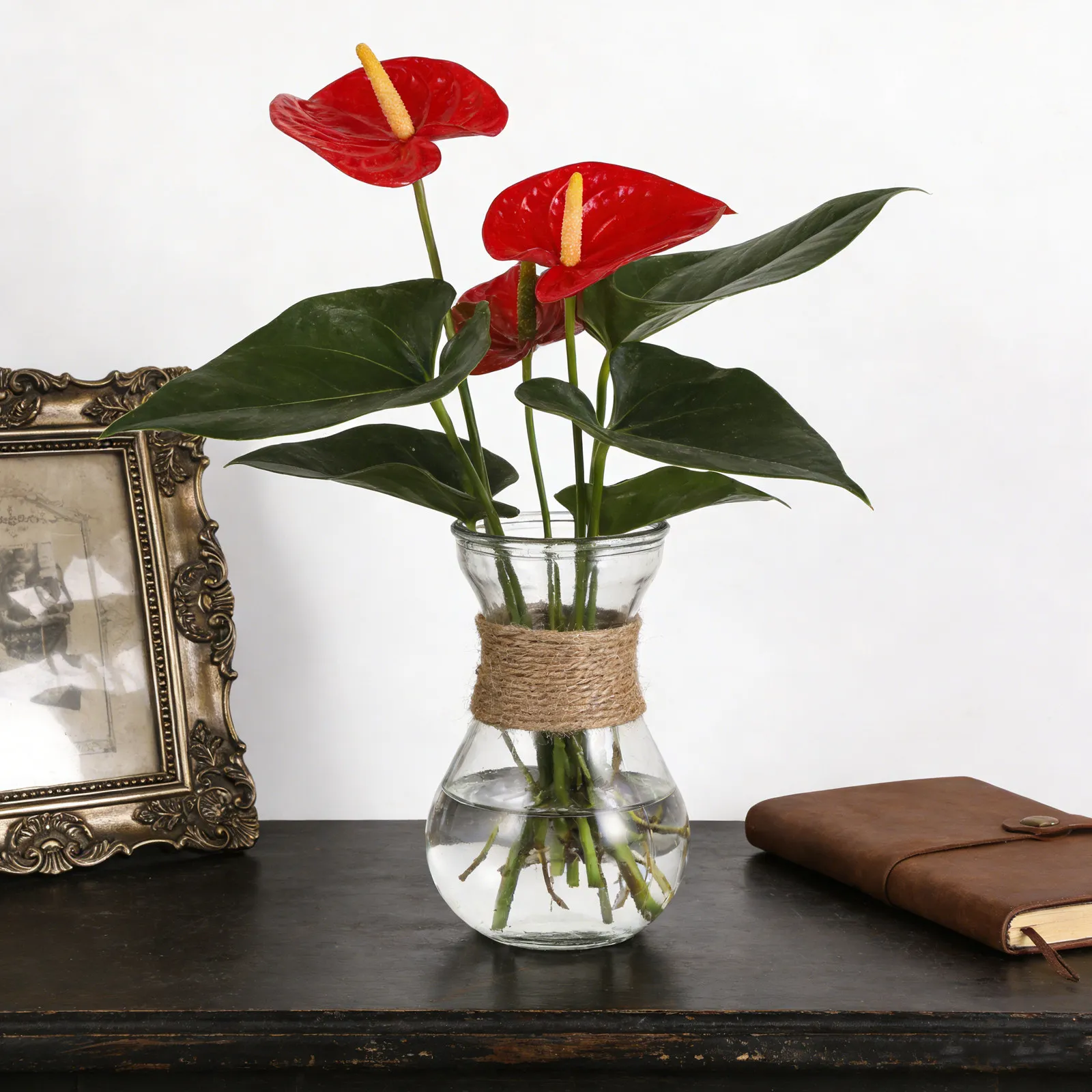 2Pcs Hydroponic Bulb Glass Vases Clear Glass Planter for Hyacinth Plant Home Office Table Decoration Bulb Water Plant Vase