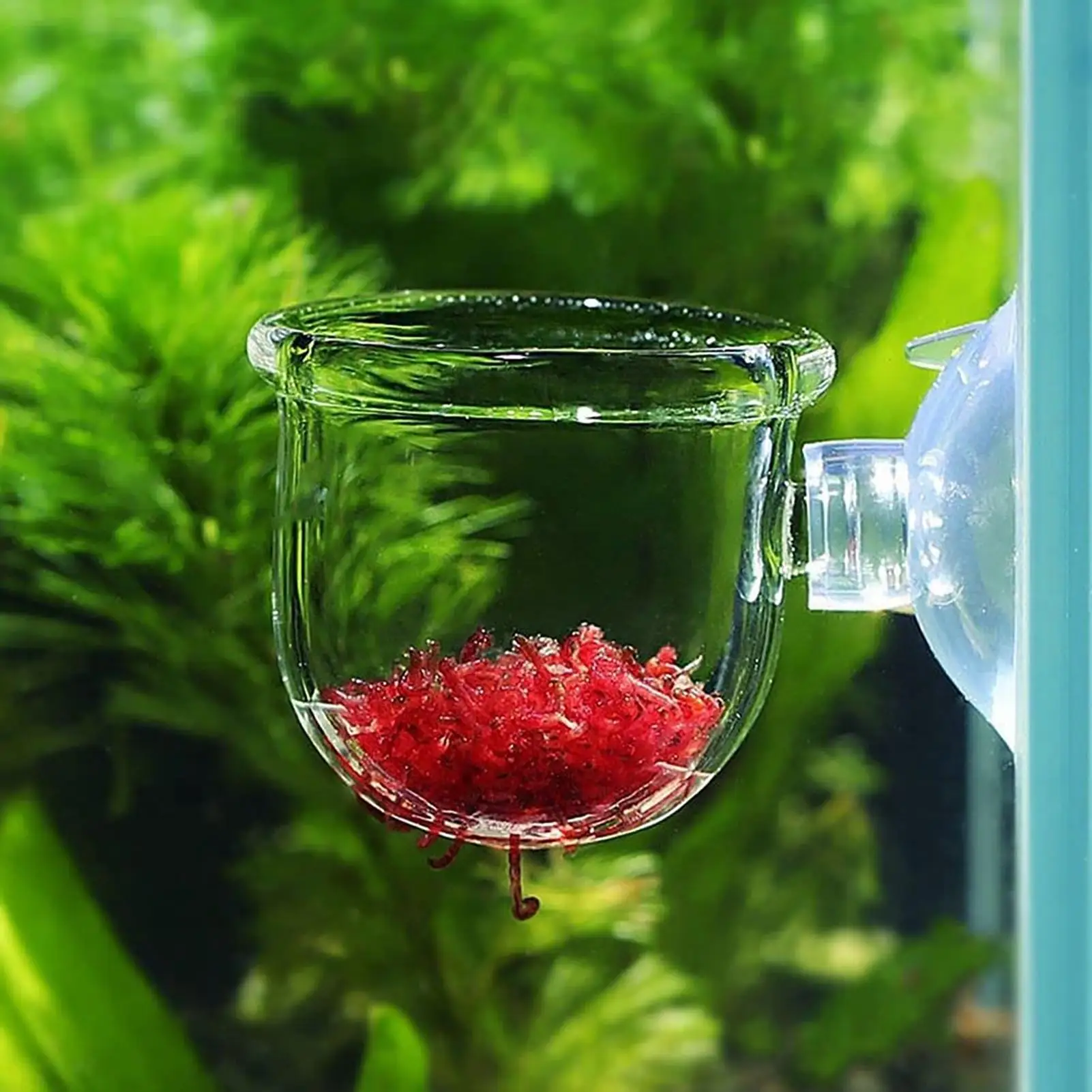 Aquatic Plant Pot Clear Acrylic Aquarium Planter with Suction Cup Fish Tank Ornaments for Cultivation Hydroponics Propagation - view 4