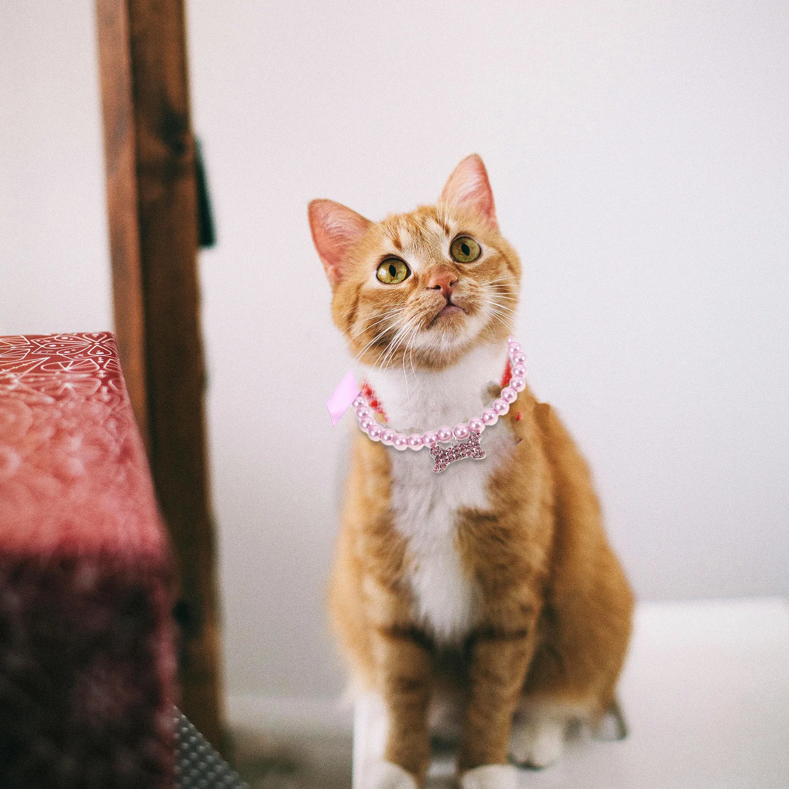 Collier de perles pour chien et chat, 4 pièces, réglable, pendentif en os, bijoux pour petits chiens et chats, occasions spéciales quotidiennes