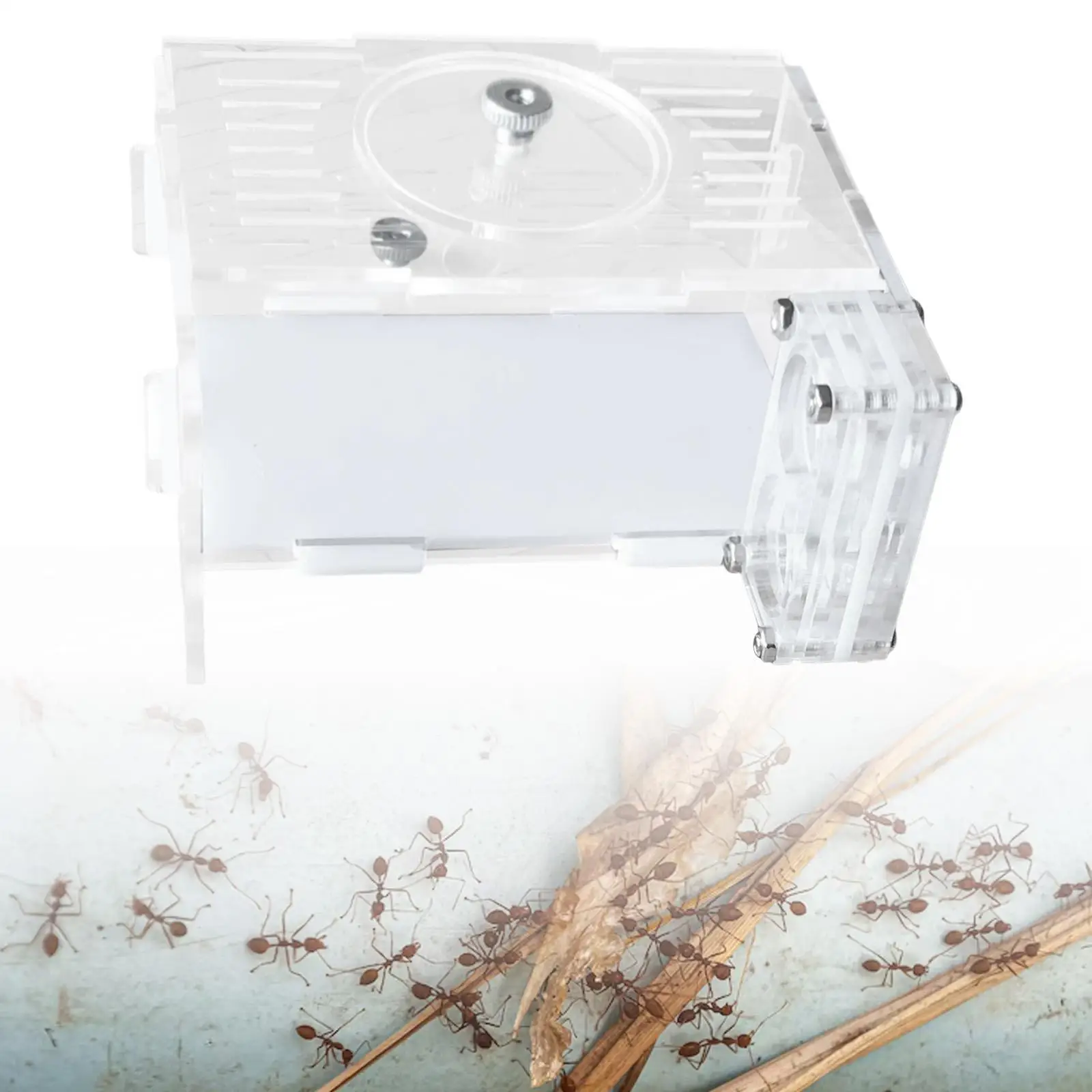DIY ANT Farm Antkeeping Tool Emmet Nest Place Clear Pet Anthill House Colony Развивающая игрушка Farming Castle ANT Nest для дома