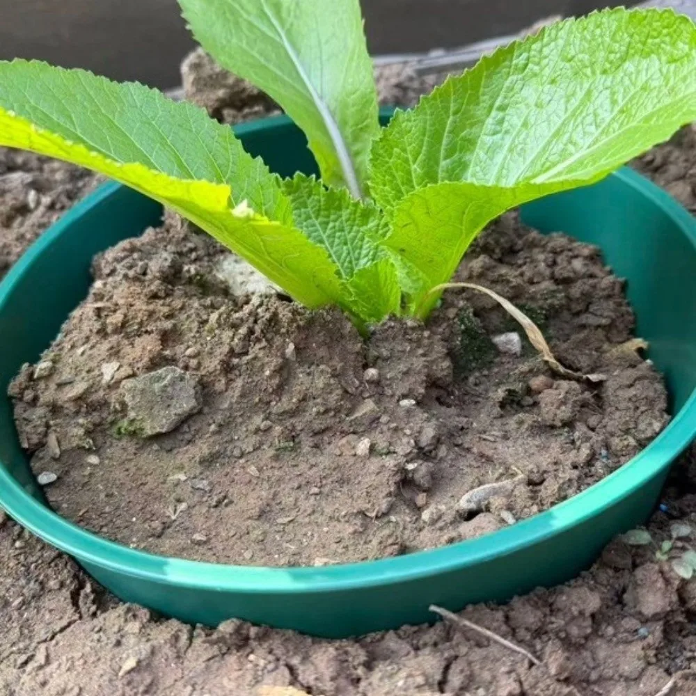 

2 штуки: Кольца для глубокого полива растений, с гладкими краями, для увлажнения корней, защитные, предотвращающие вытеснение травы