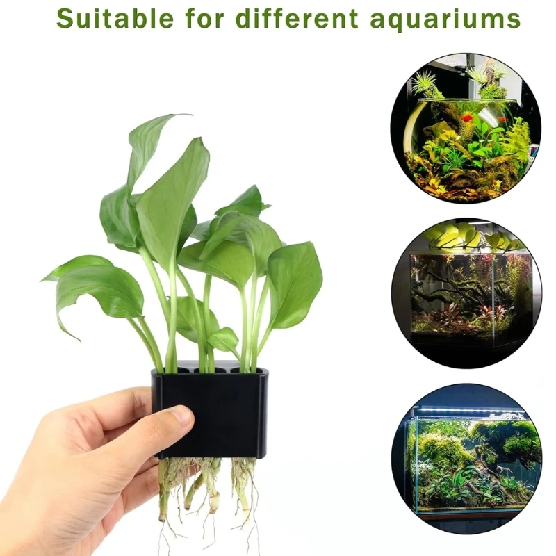 Porte-plante aquatique à 3 trous, cadre poisson, étagère pour Aquarium, culture plantes aquatiques, matière plastique pour