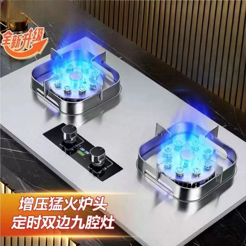 

Double Burner Gas Stove Household Desktop Liquefied Natural Gas Stove Embedded Hot Gas Cooking