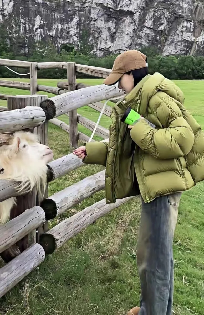 المرأة الجديدة نفخة السلاحف الظهر الأخضر قصيرة أسفل سترة قطن المرأة شتاء 2025 الليمون الأخضر معطف القطن مقنعين معطف الخبز