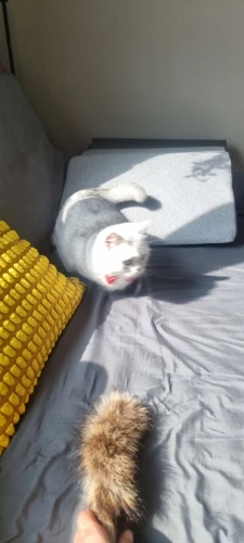 실물 포토 리뷰