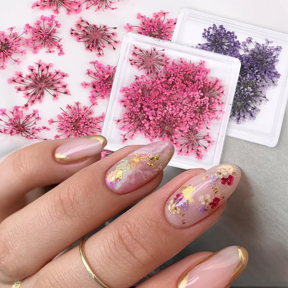 3D Real Dried Flowers Nail Art Decoration Lace Petal Design Natural Pressed Floral Charm Plant Jewelry Nail Accessories Supplies