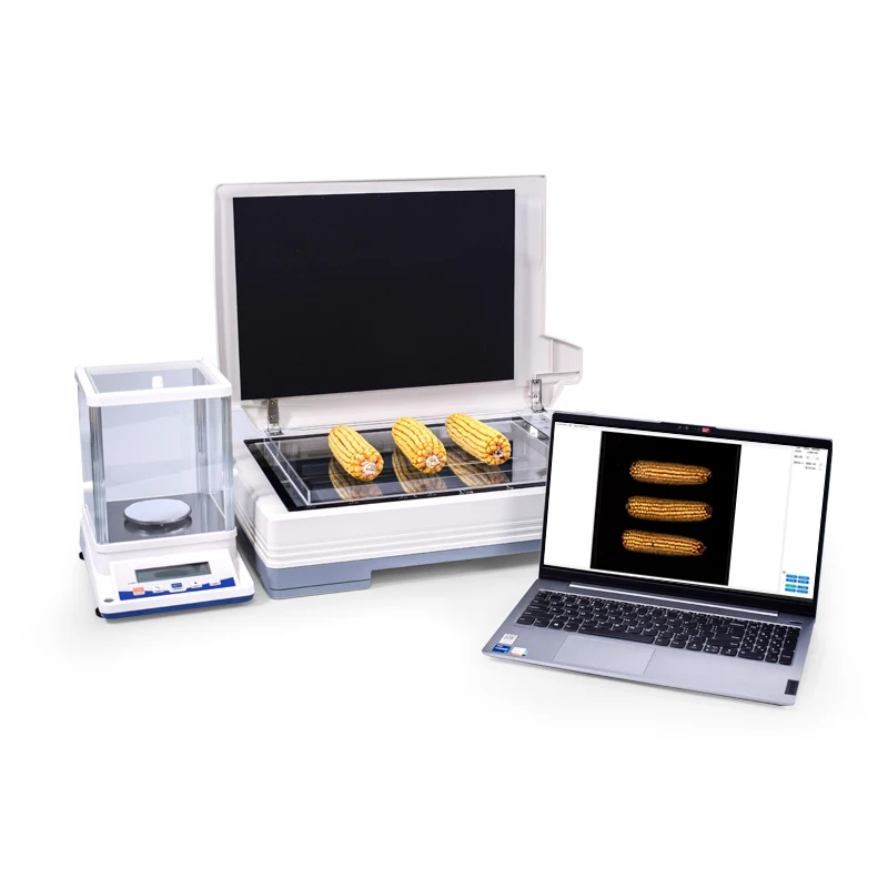 Maize Seed Examination And Analysis System Maize Whole Ear Analyser Seed Examiner Section Analysis System