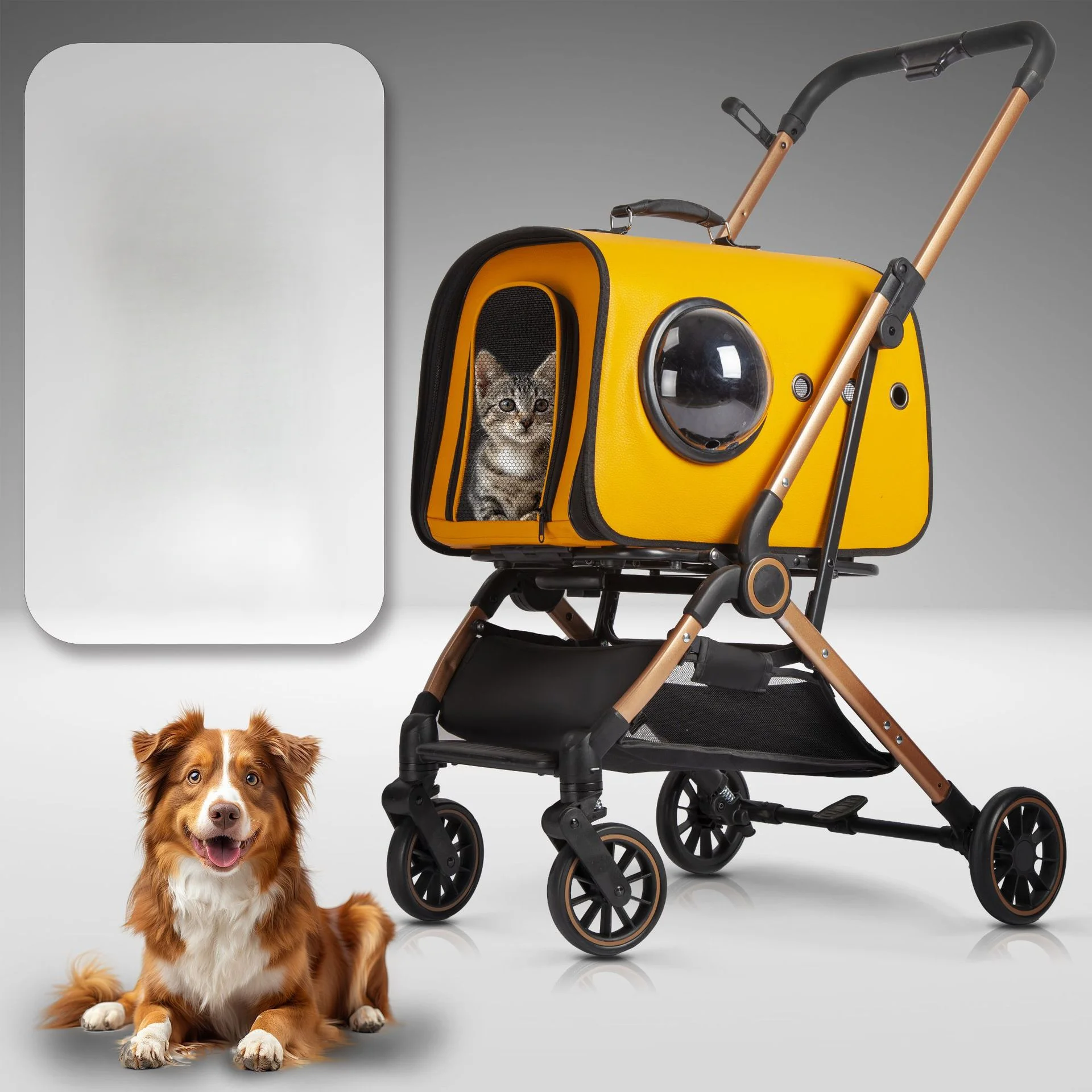 

New pet car out portable folding medium-sized small dogs outdoor supplies