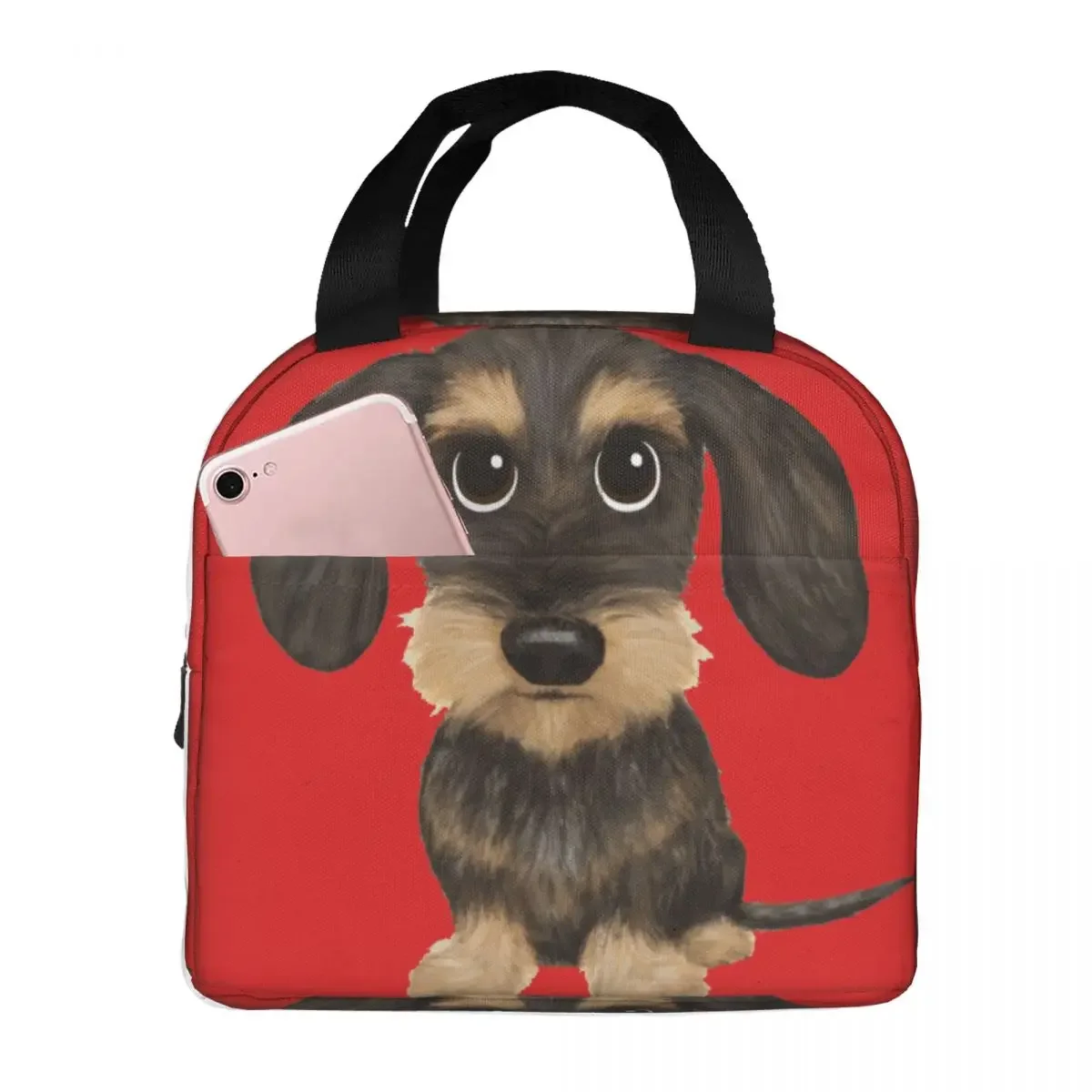 

Dachshund Cute Lunch Bags Insulated Bento Box Waterproof Lunch Tote Leakproof Picnic Bags Cooler Thermal Bag for Woman Girl