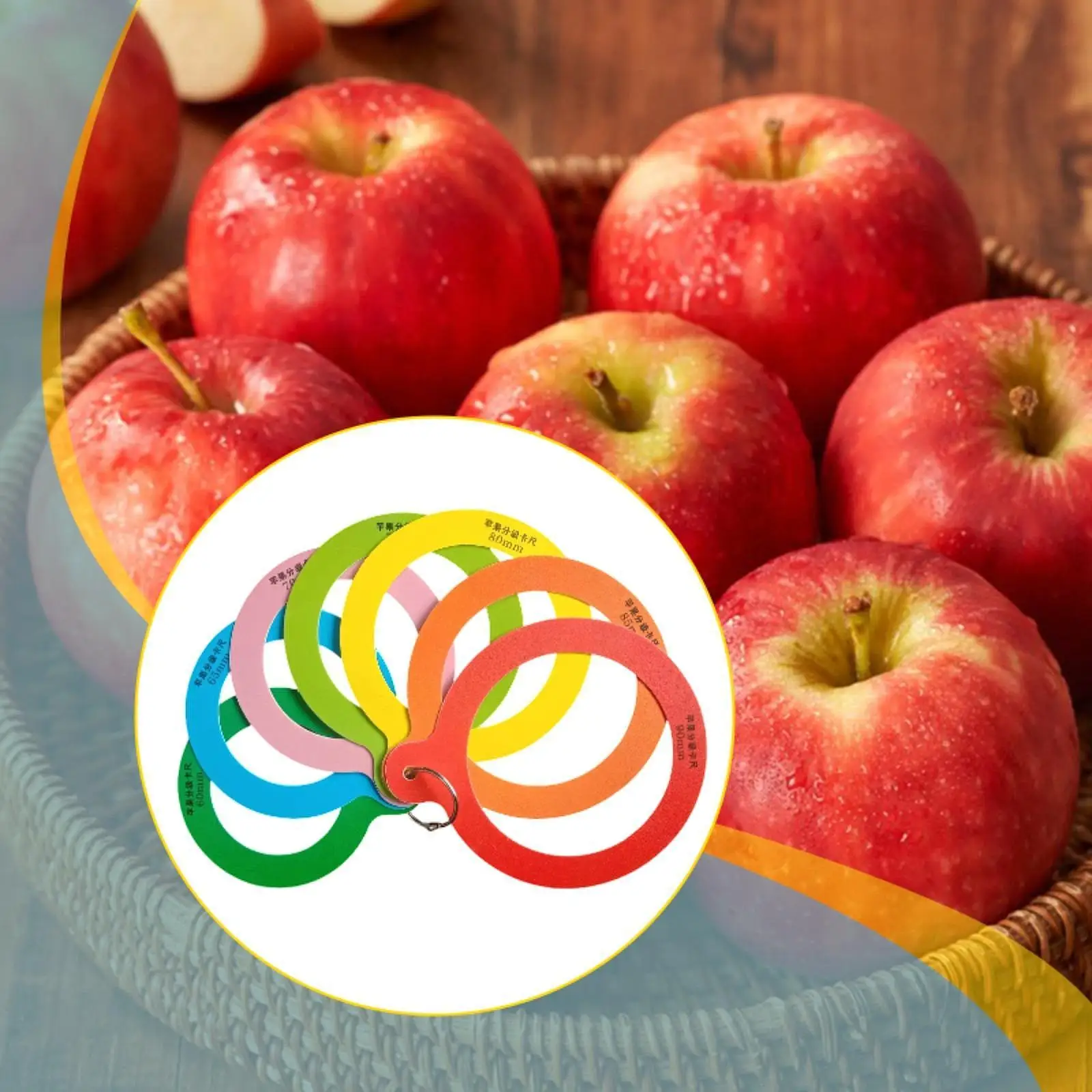 Portable Fruit Caliper Metric Measurement Tool Plastic Apple Sizer for Market Orchard Kitchen Produce