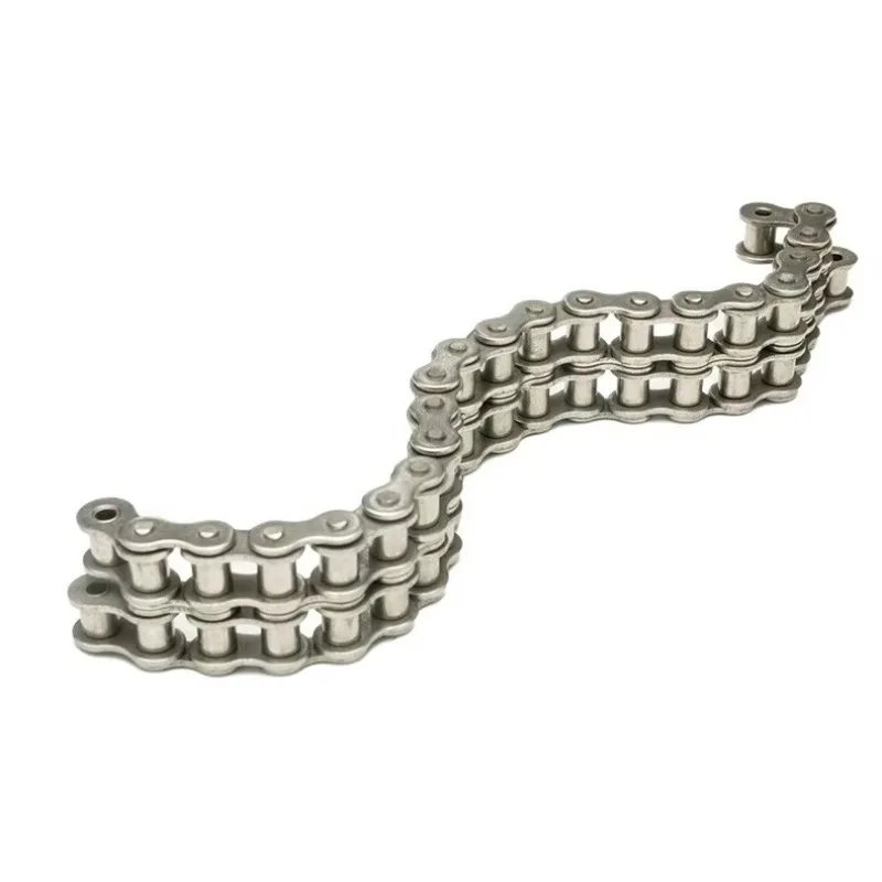 SS16A-2 SS16B-2 DIA 15.88 Precision Duplex Short Pitch 304 Stainless Steel Conveyor Roller Chain for Transmission Equipment