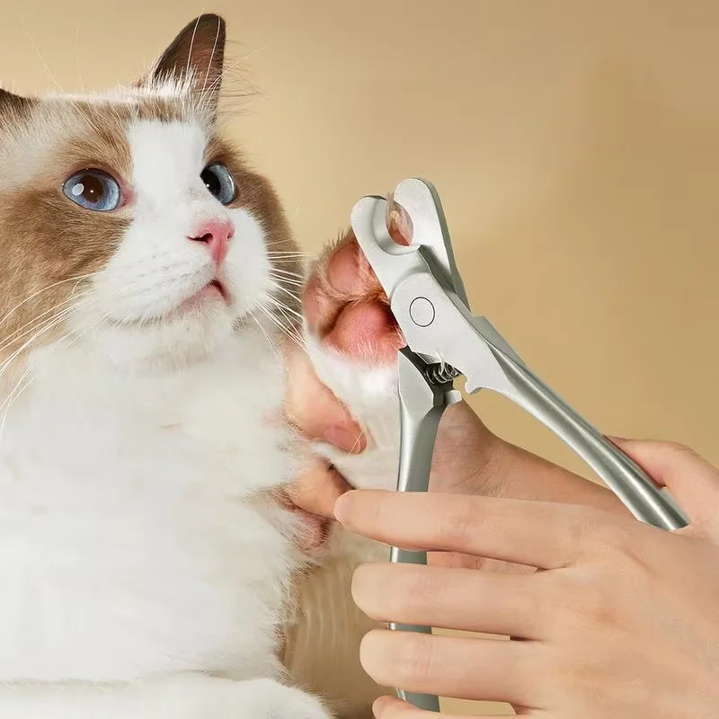 Thumbnail 2 - #38 Cat Grooming Comparison Guide
