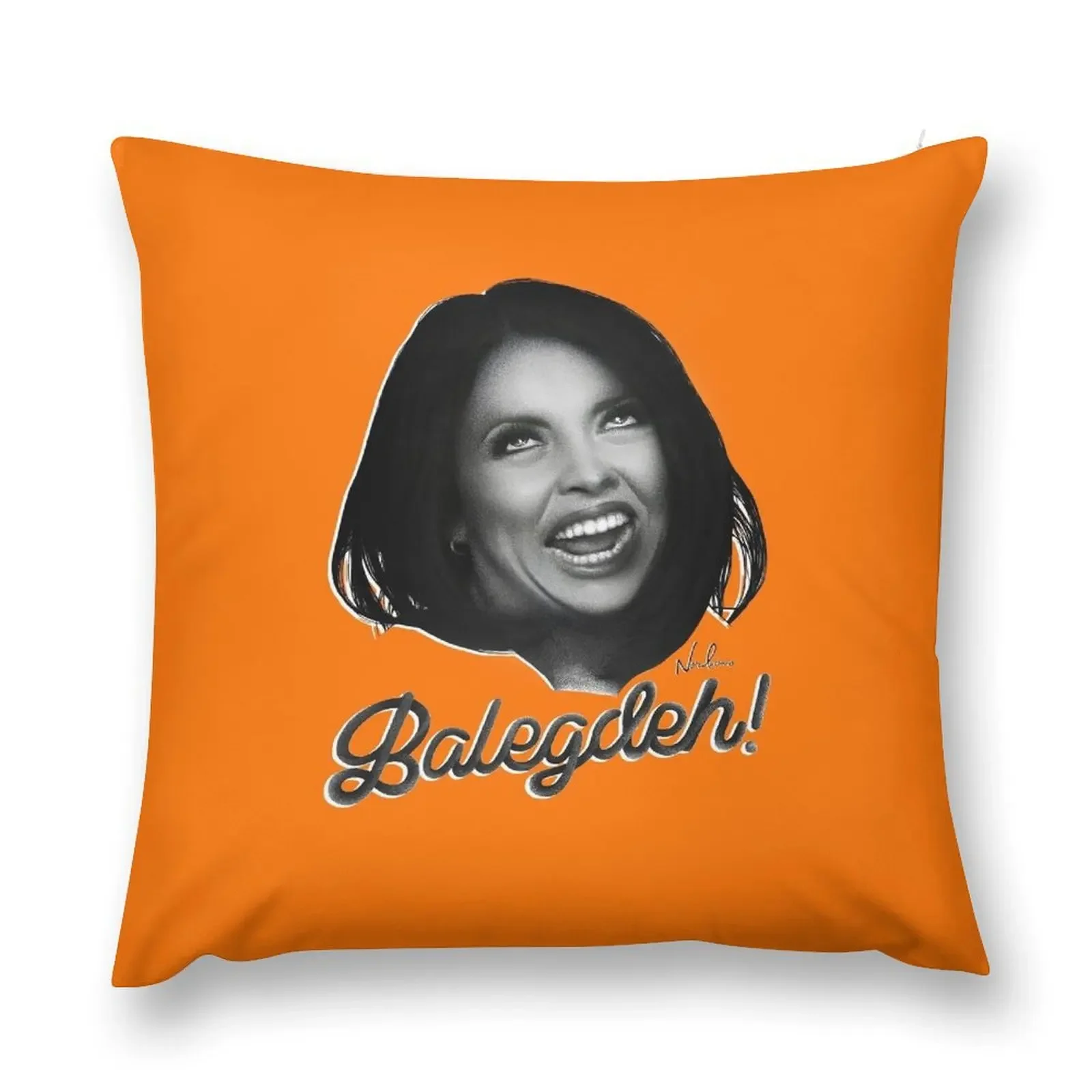 

BALEGDEH Throw Pillow Throw Pillow Pillows Aesthetic pillow