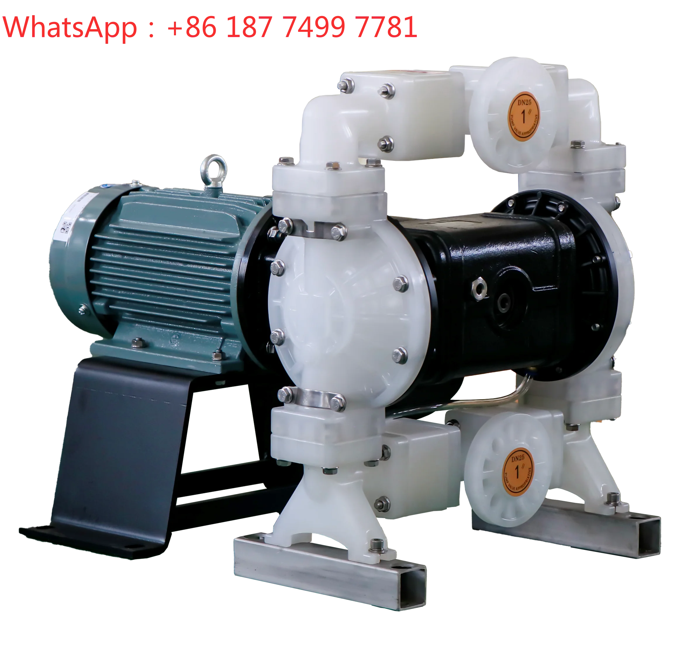 PP Stainless Steel EODD Electric Diaphragm Pump Industrial Chemical Wastewater Fluid Transfer Pump