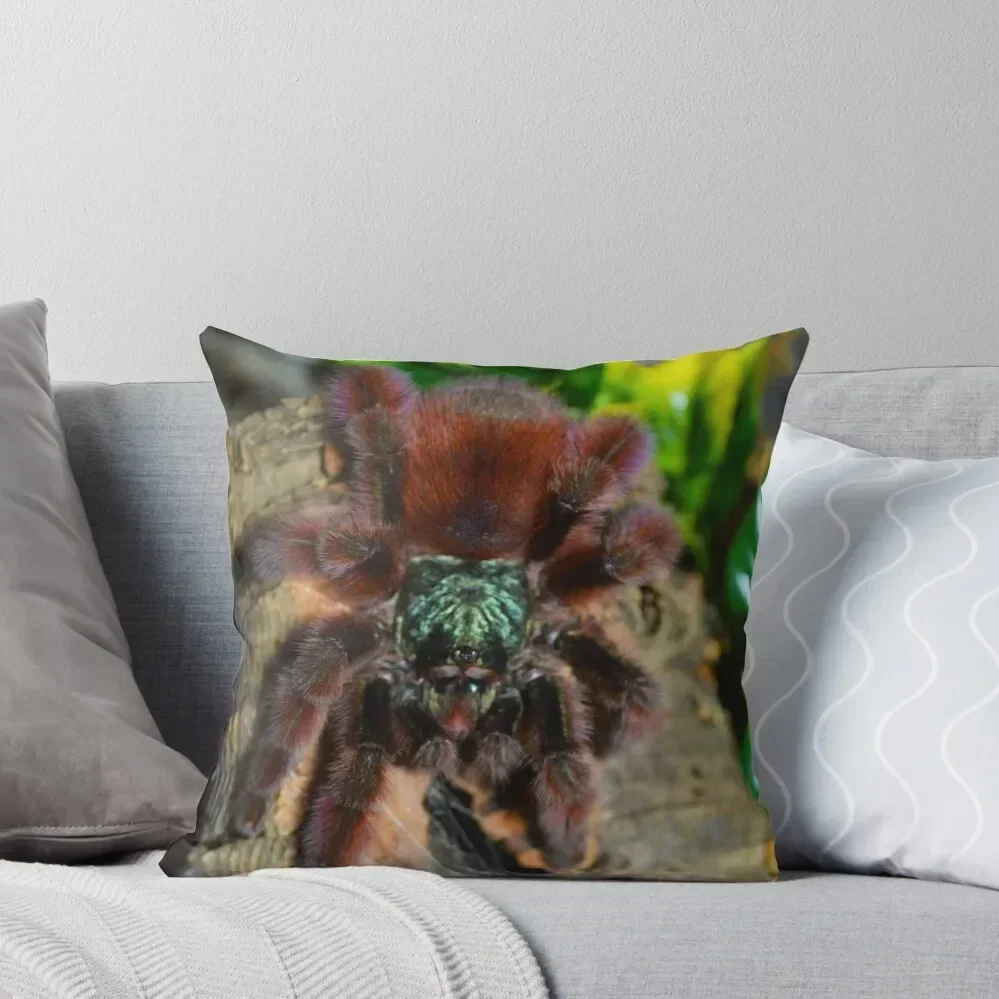 Martinique Pink Toe Tarantula Throw Pillow Decorative Cushions For Luxury Sofa New year Pillow Cases Decorative pillow