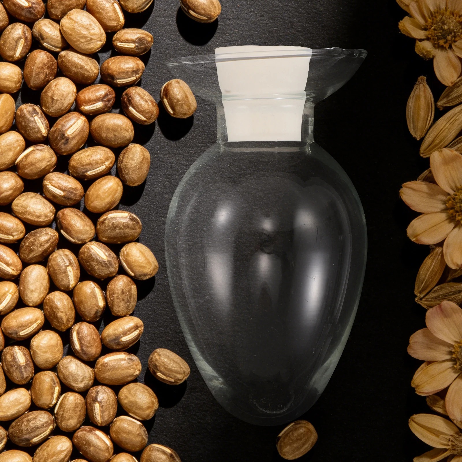 

4Pcs Seed Storage Containers Glass Sample Vials Stopper Cloche Portable Seed Organizer Transparent Bottle Multipurpose Home