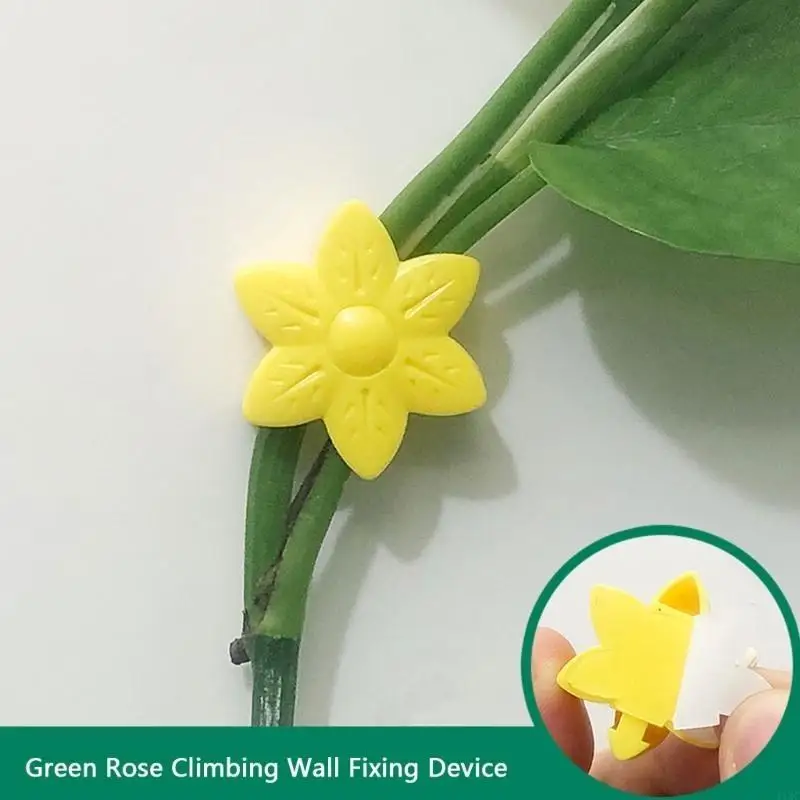 40Pcs Plant Wall Clips Plant Clips for Climbing Plant Climbing Wall Fixture Clips Plant Pine Wall Clips for Plant Vine 