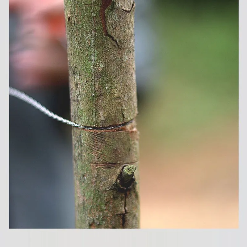 Scie Portable en Acier Inoxydable, Outil de Survie pour Camping en Plein Air, Randonnée