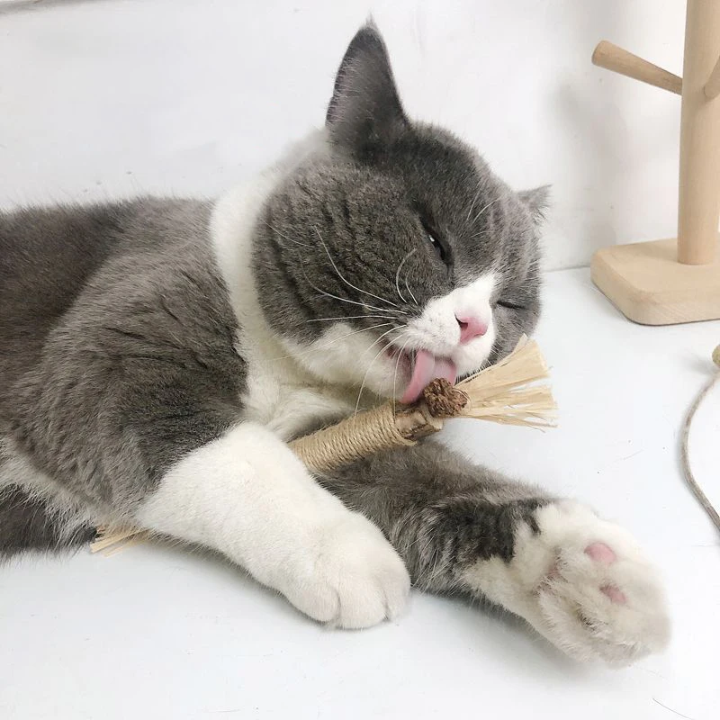 

2pcs Wooden Catnip Molar Stick Pet Chew Toys Interactive toys for cats Cat mint Pet Supplies Cat Toys Natural Aaw Material