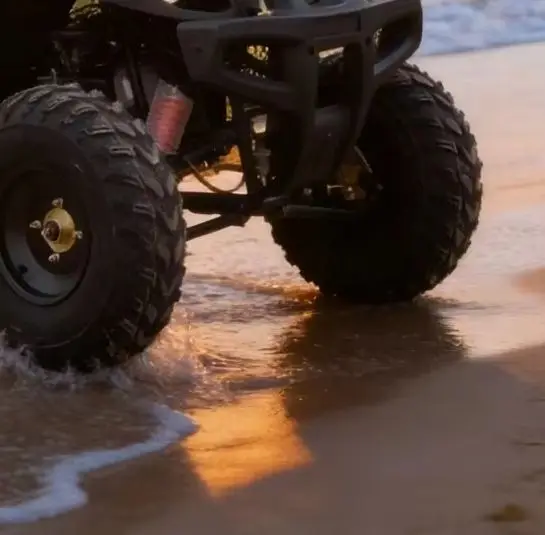 Custom utility off road quad bike in china 250cc automatic dune family ride