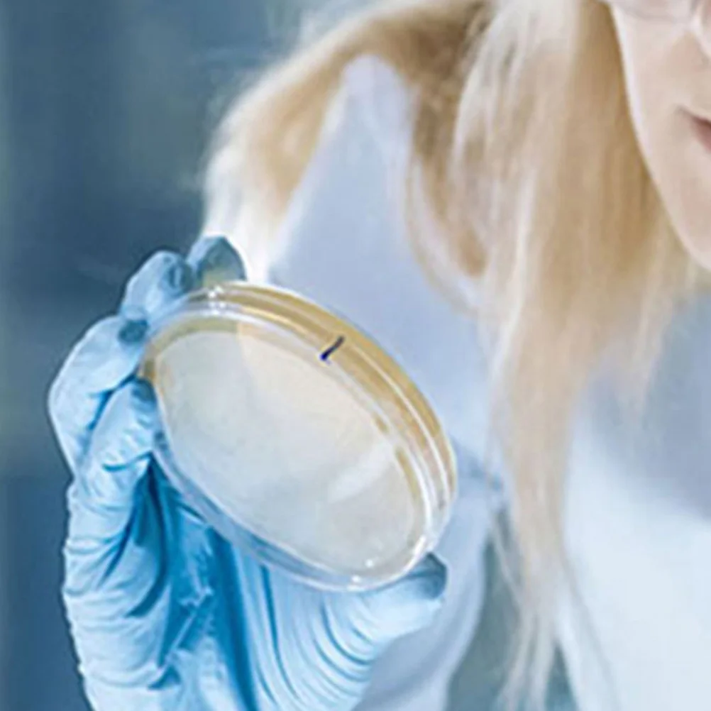 

10Pcs Plastic Culture Dishes Petri Plates Sterile Lid Science Agar Plates for School Experiments Culture Dish