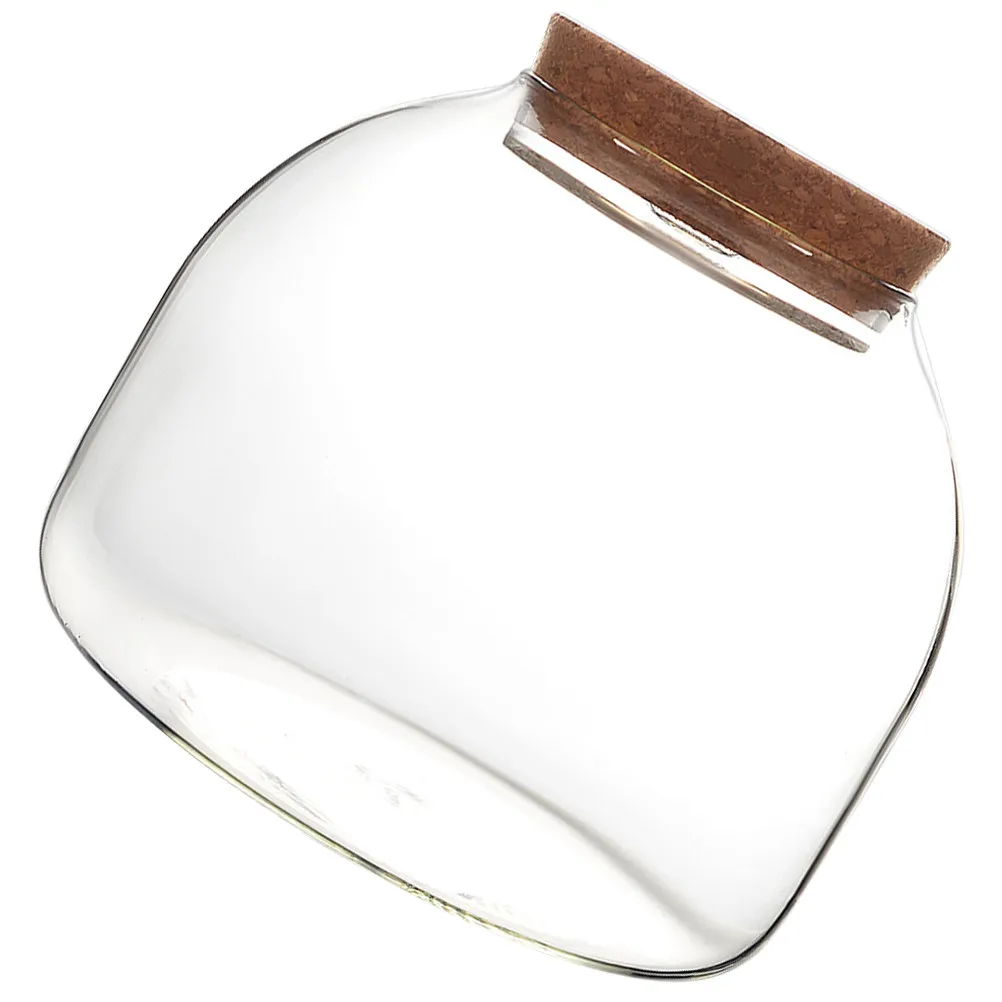 Micro Landscape Ecological Bottle Premium Glass Container Decorative Terrarium Home Office Table Plants Moss DIY Ornament