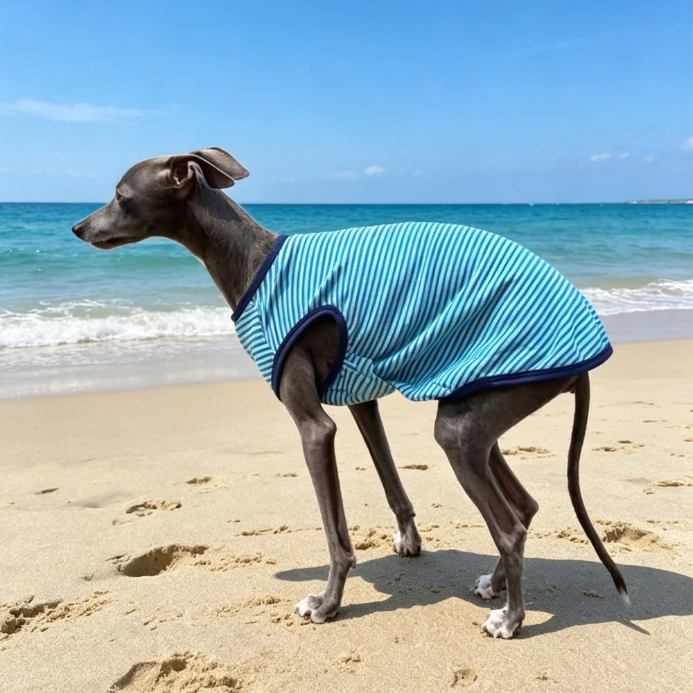 Chaleco sin mangas rayas azules para galgo italiano, whippet y perros - imagen 3