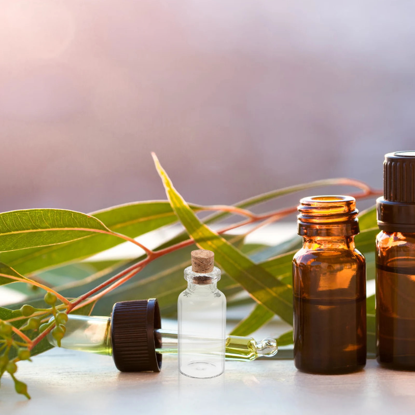 

12Pcs Mini Wishing Bottles Small Cork Glass Vials Multi-Function Tiny Jars for Message Storage Wedding Party Decoration