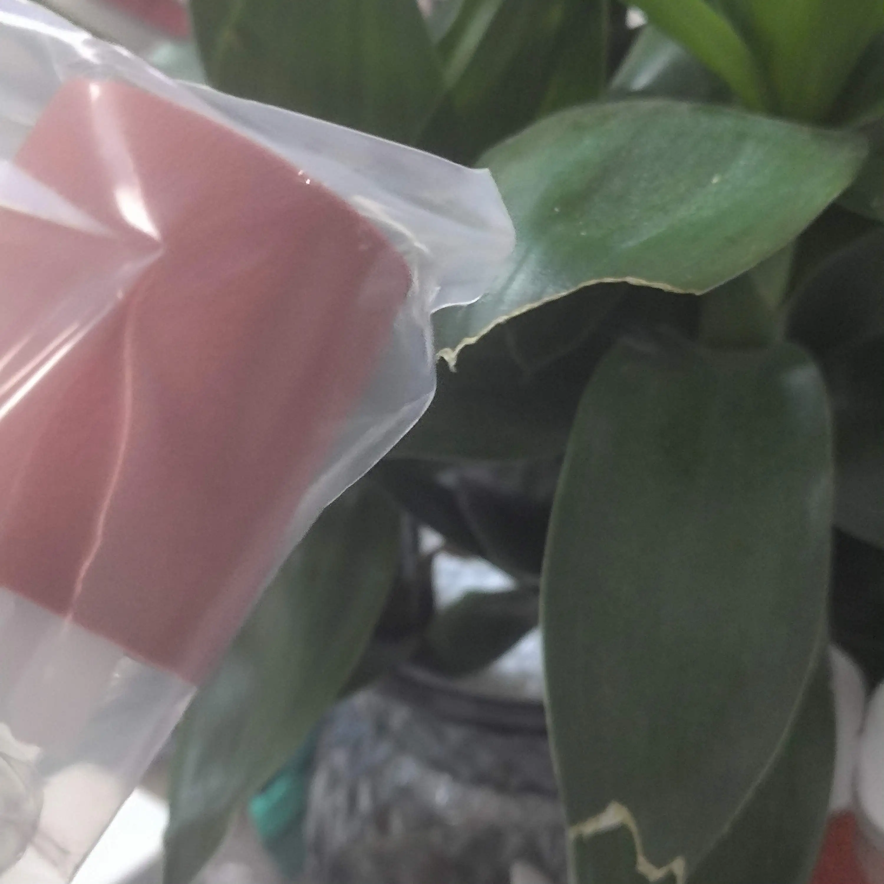 

Разделительный ролик ADV6055 FC5-2528-000 для Canon ADV 6055 6065 6075 6255 6265 6275 8105 8095 8085 8205 длительный срок службы