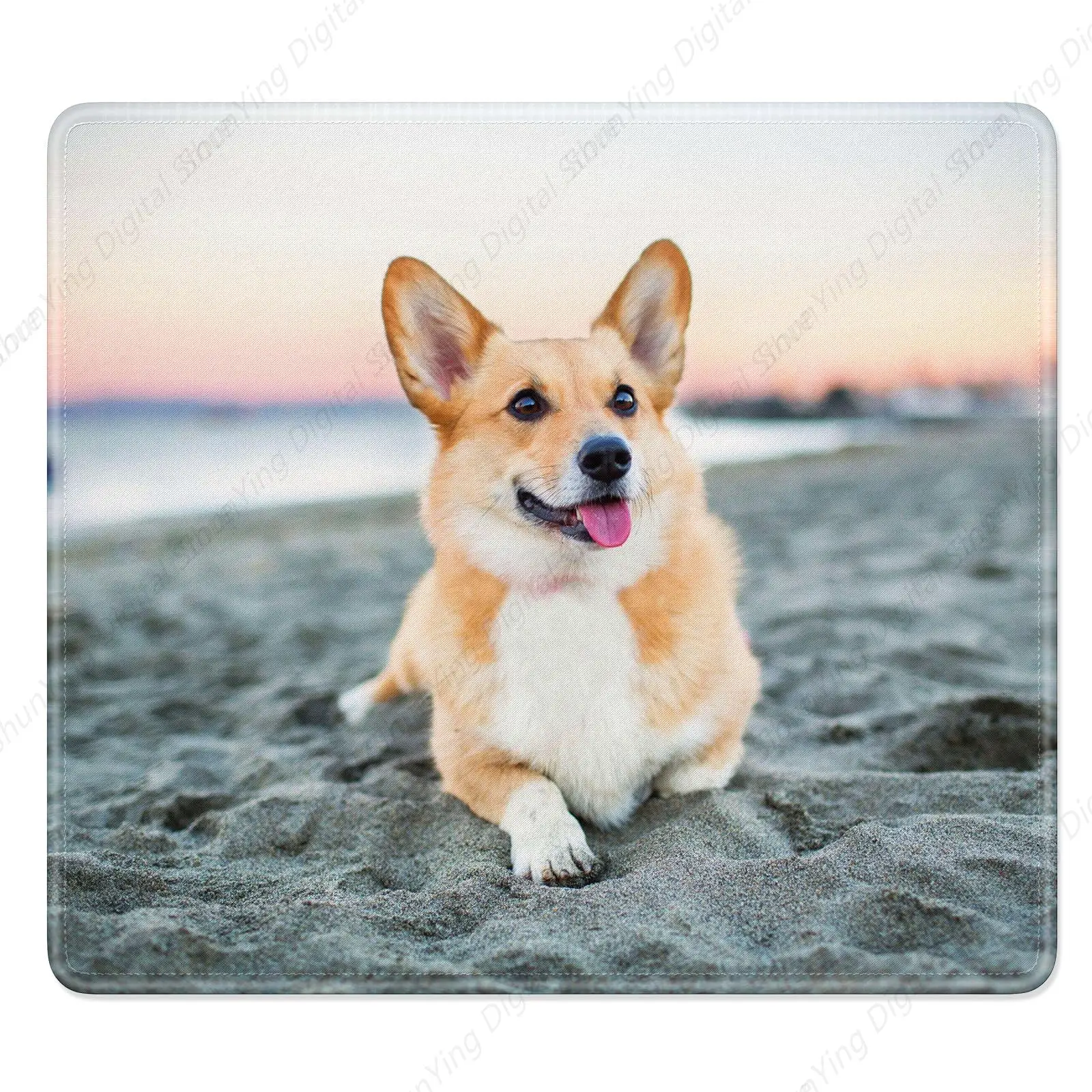 

Cute Puppy Enthusiast Computer Mouse Pad Gift Anti Slip Rubber Mouse Pad Suitable For Gaming Office Laptops 18*22cm