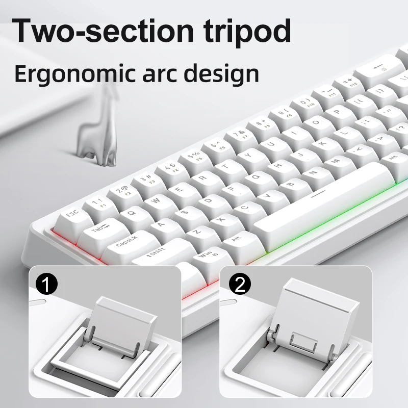 ​​FREEWOLF M68SE 68 Keys Mechanical Keyboard  Wired RGB Backlit Ergonomic Design PBT Keycaps for Win/Mac