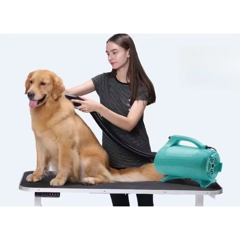 2026 Sustainable Pet Hair Dryer, Handheld for Salon Grooming