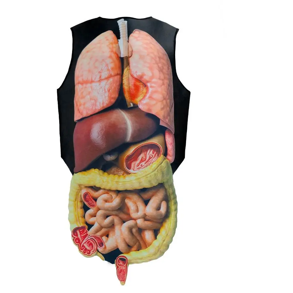 ความคิดสร้างสรรค์การออกแบบหัวใจคอสเพลย์เครื่องแต่งกายที่สมจริงอวัยวะภายในพิมพ์จําลองอวัยวะมนุษย์เครื่องแต่งกายตลกสบาย