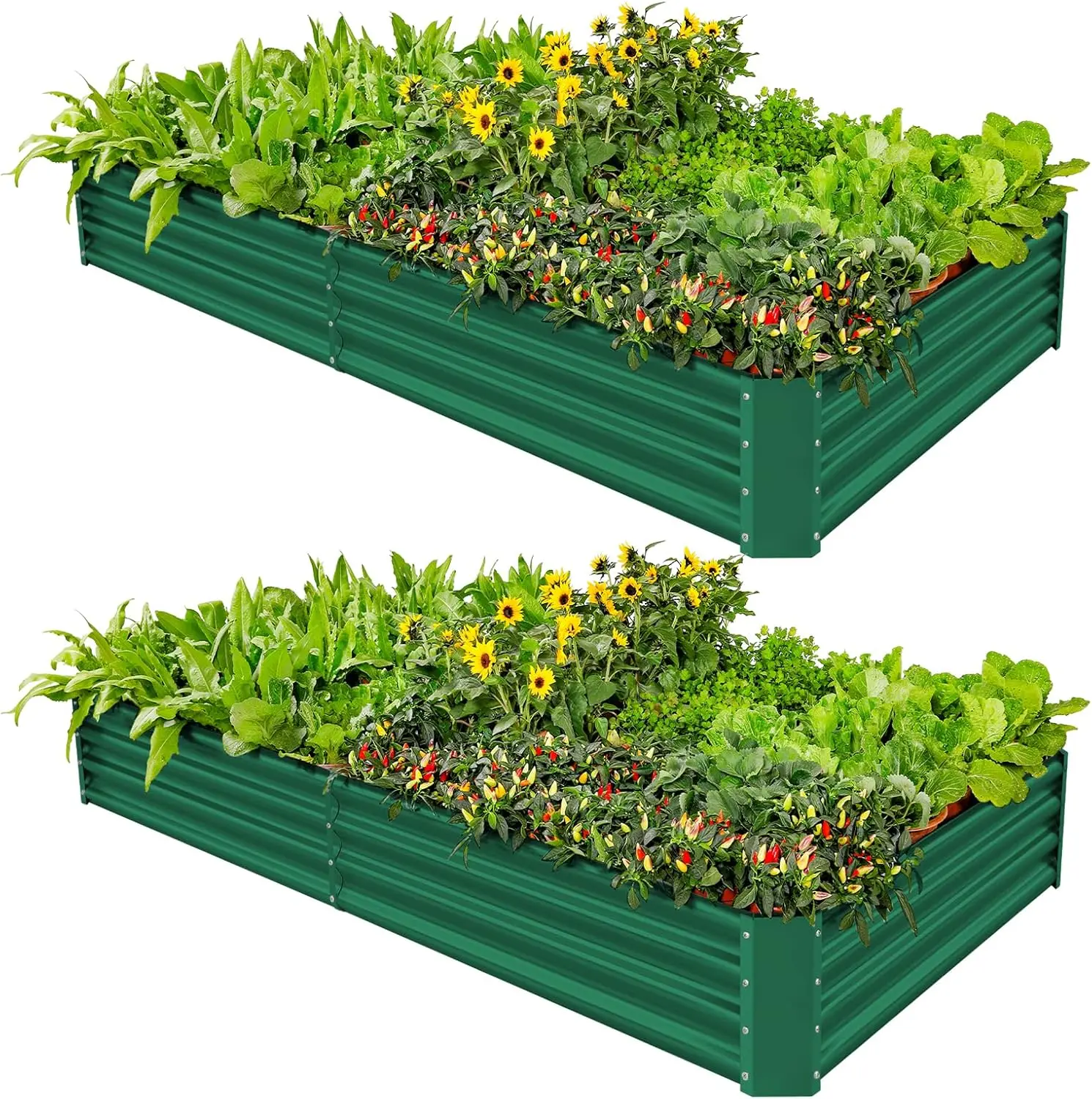 

8x4x1ft Galvanized Metal Raised Garden Bed 2 Pack for Plants, Vegetables, Flowers, Herbs