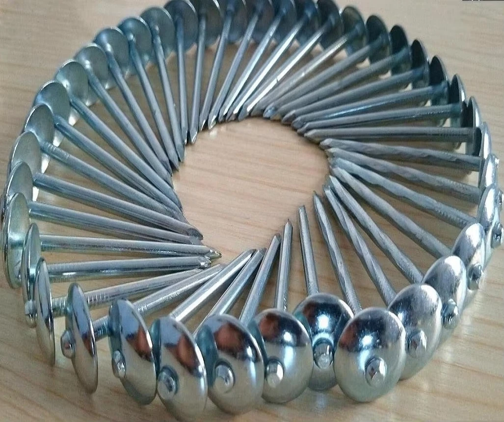 Macchina galvanizzata per viti per chiodi elettrogalvanizzate