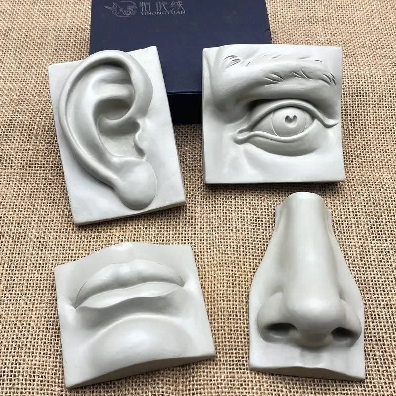 Sketching Models of Plaster Portraits of Human Facial Features Teaching Aids Art Supplies Resin Head Portraits Solid Section