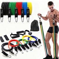 11 PCS Stackable Resistance Bands Set Portable Home Gym Kit up to 150 Lbs Various Colors for Full Body Workouts