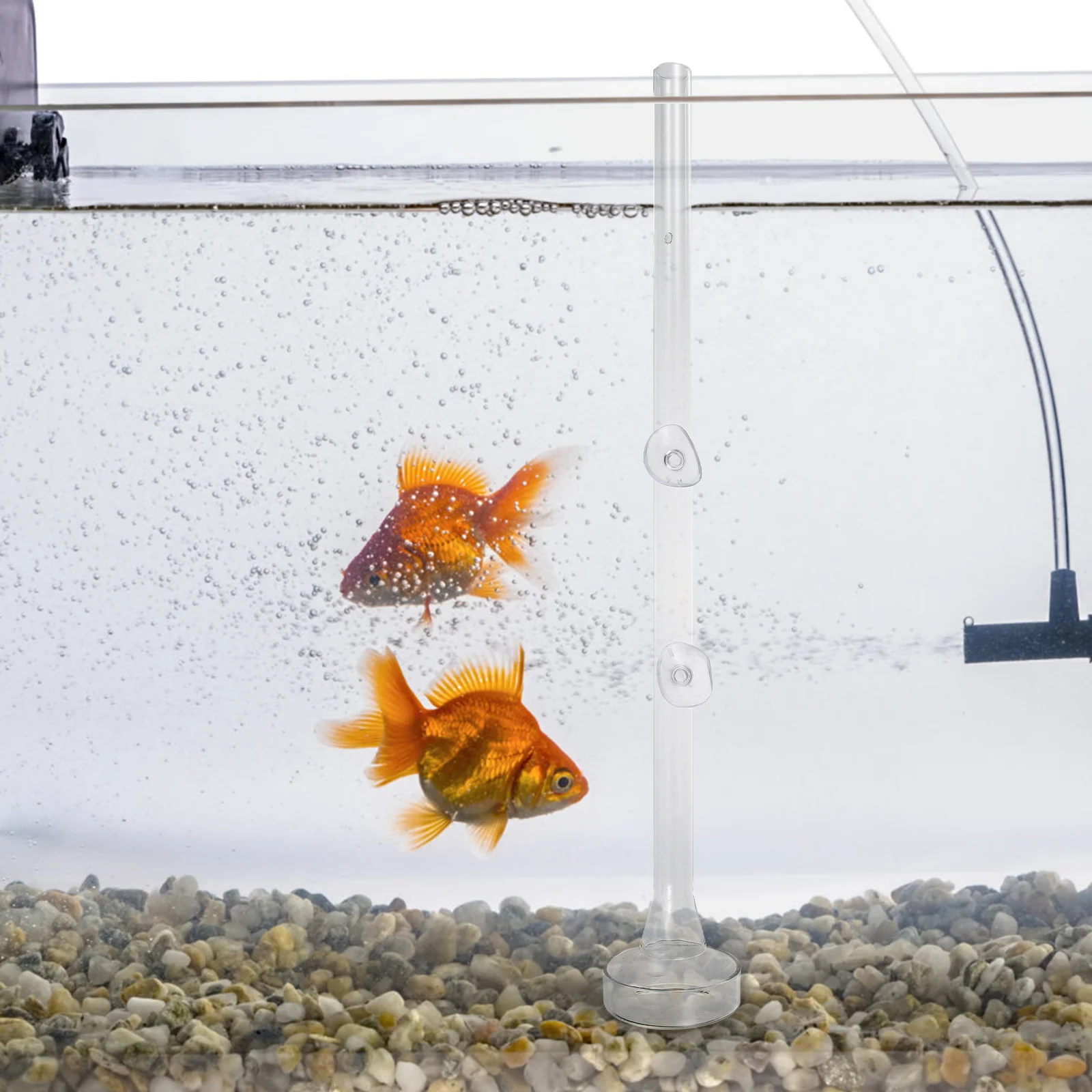 

1Set Practical Glass Shrimp Feeder for Planted Tank with Cherry Shrimp Suction Cup Design Aquarium Glass Fish Tank Feeder