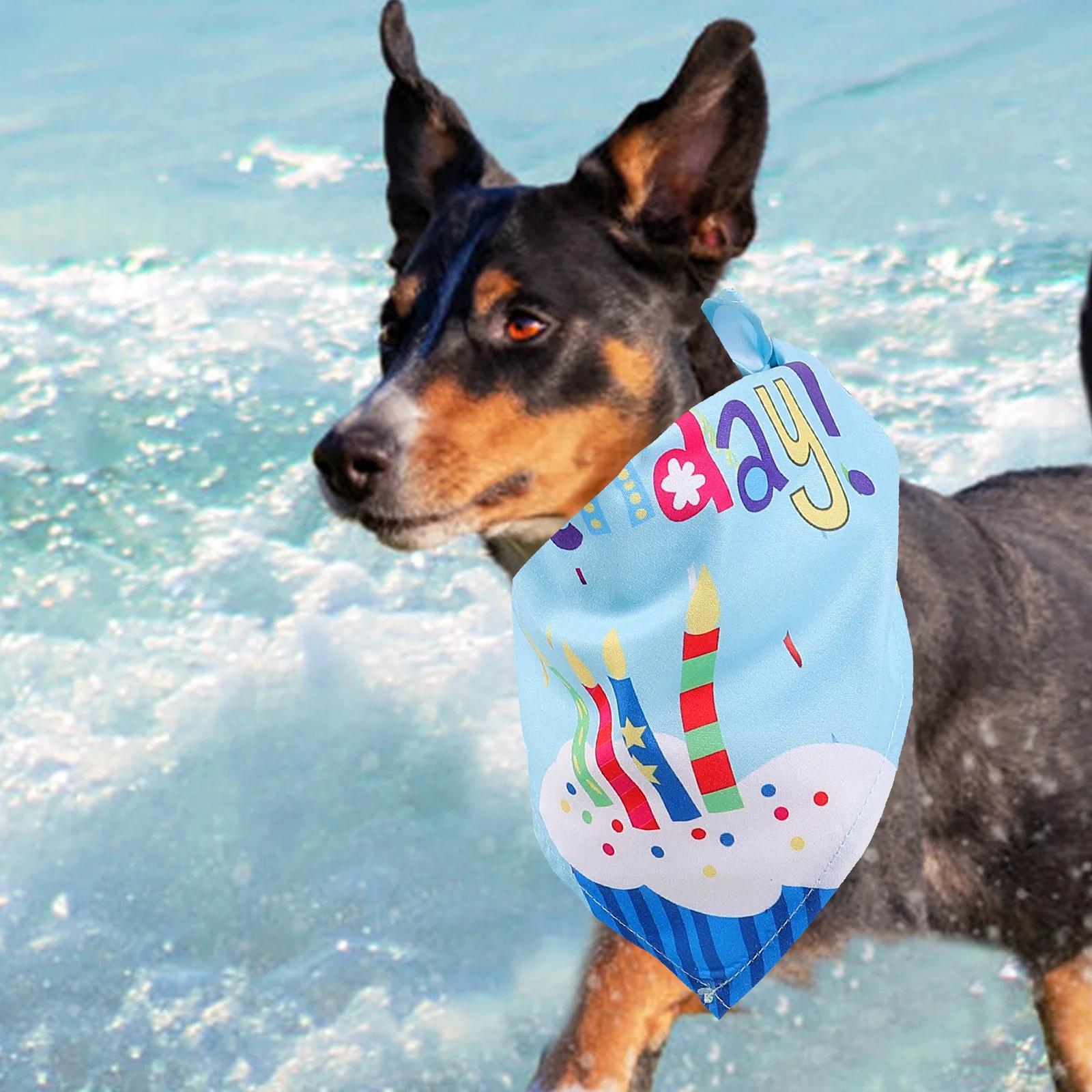 

1 set Necklace Decor Set Blue One Size Dog Collar Hat For Dogs Pet Necklace Decor Dog Hat Pet Supplies